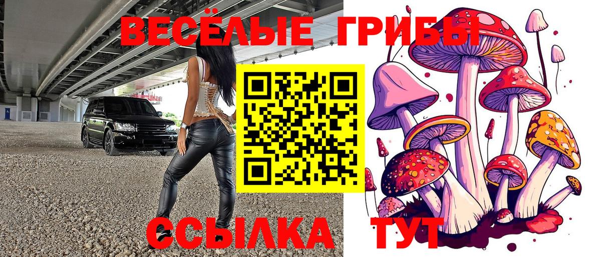 Галлюциногенные грибы MAGIC MUSHROOMS  Вход с VPN  Псилоцибиновые грибы мухоморы  Первоуральск 